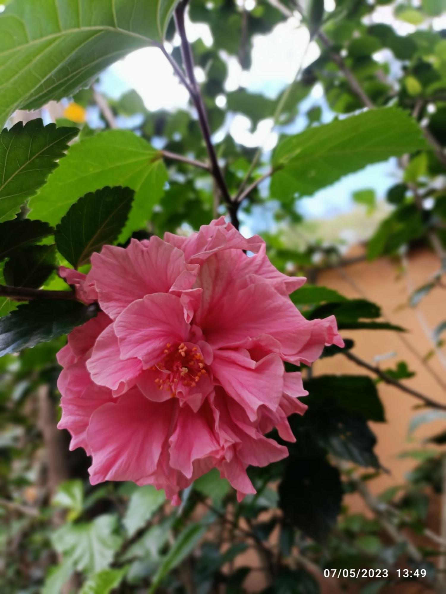 La Casa De La Nonna Bed & Breakfast Quito Dış mekan fotoğraf